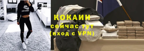 соль ск Алзамай