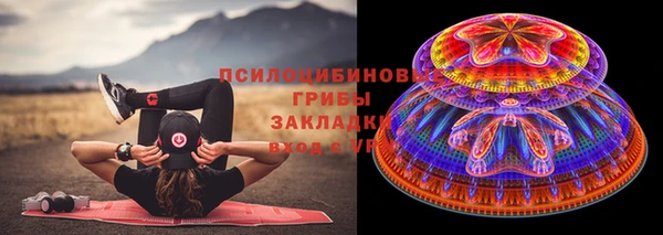 соль ск Алзамай
