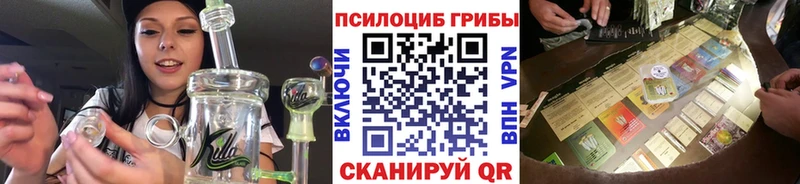 МЕГА   Монино  Галлюциногенные грибы Psilocybe 
